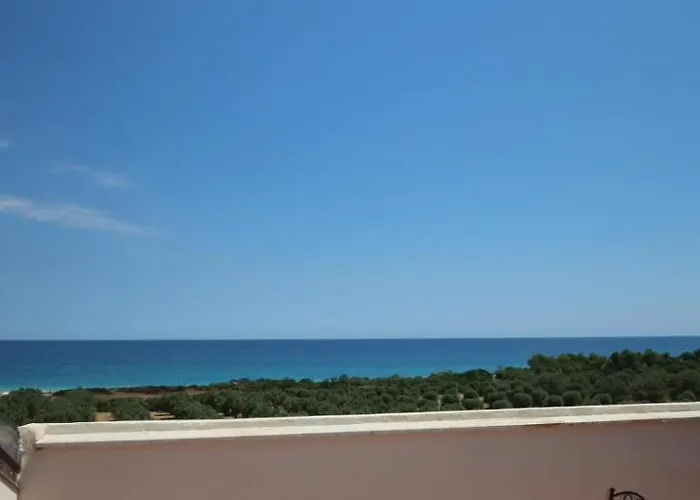 La Corte Dei Sabatini *